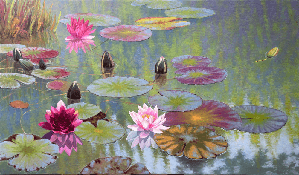 Water Lilies at Dawn