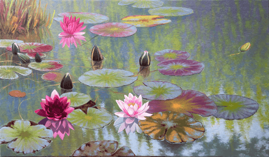 Water Lilies at Dawn
