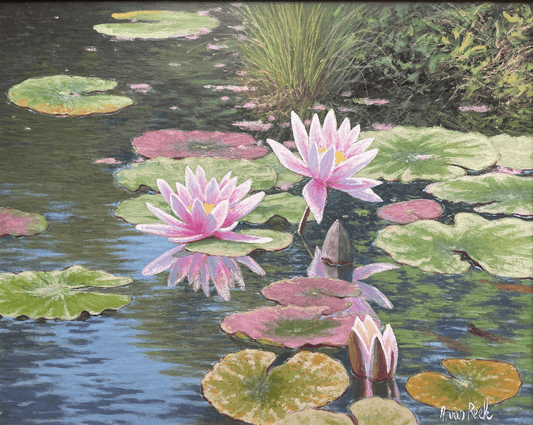 Water Lilies, Close Study