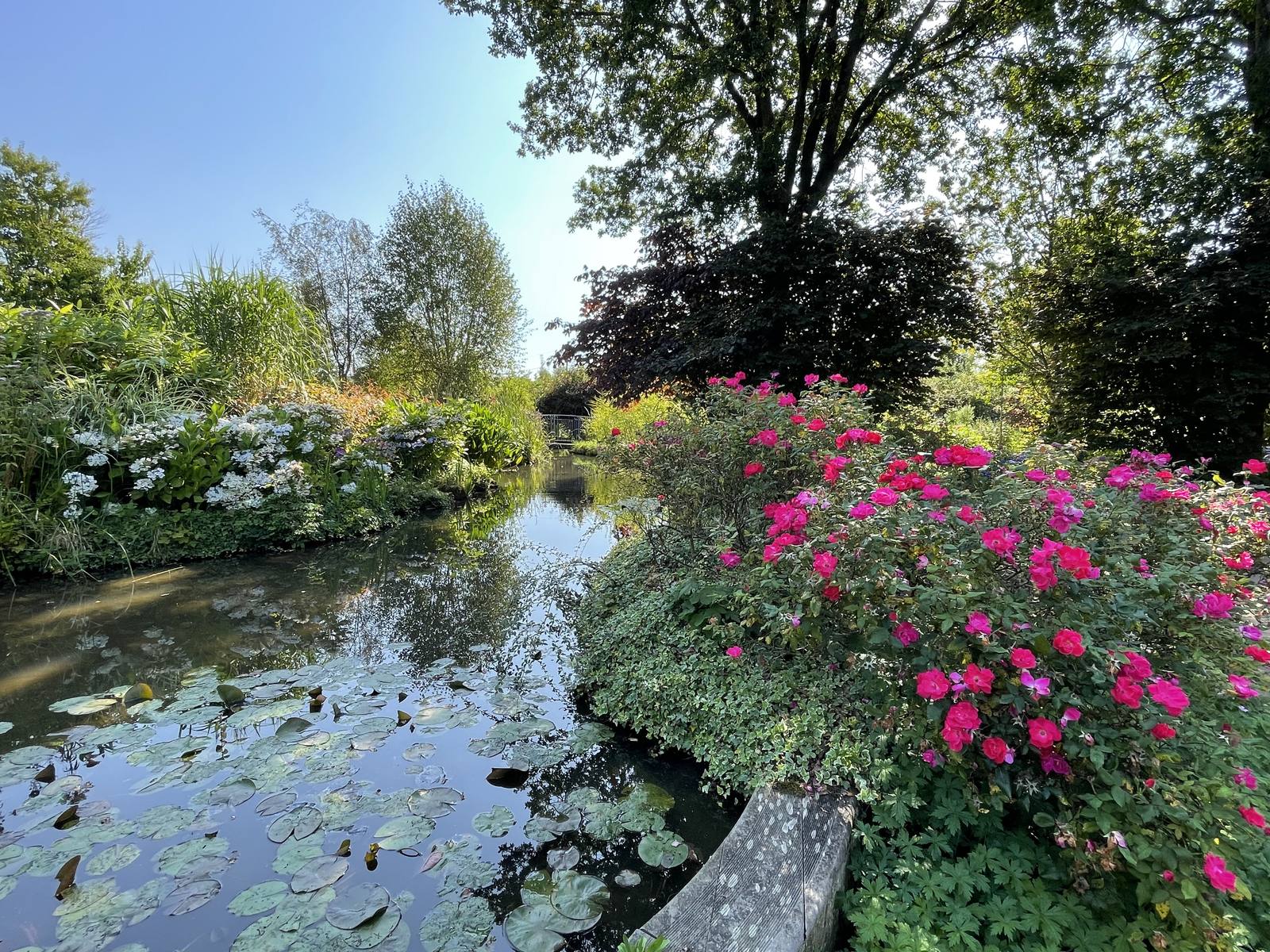L'étang du jardin André van Beek